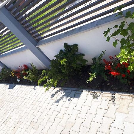 Apartament Saguna Sînnicolau Mare Exteriör bild