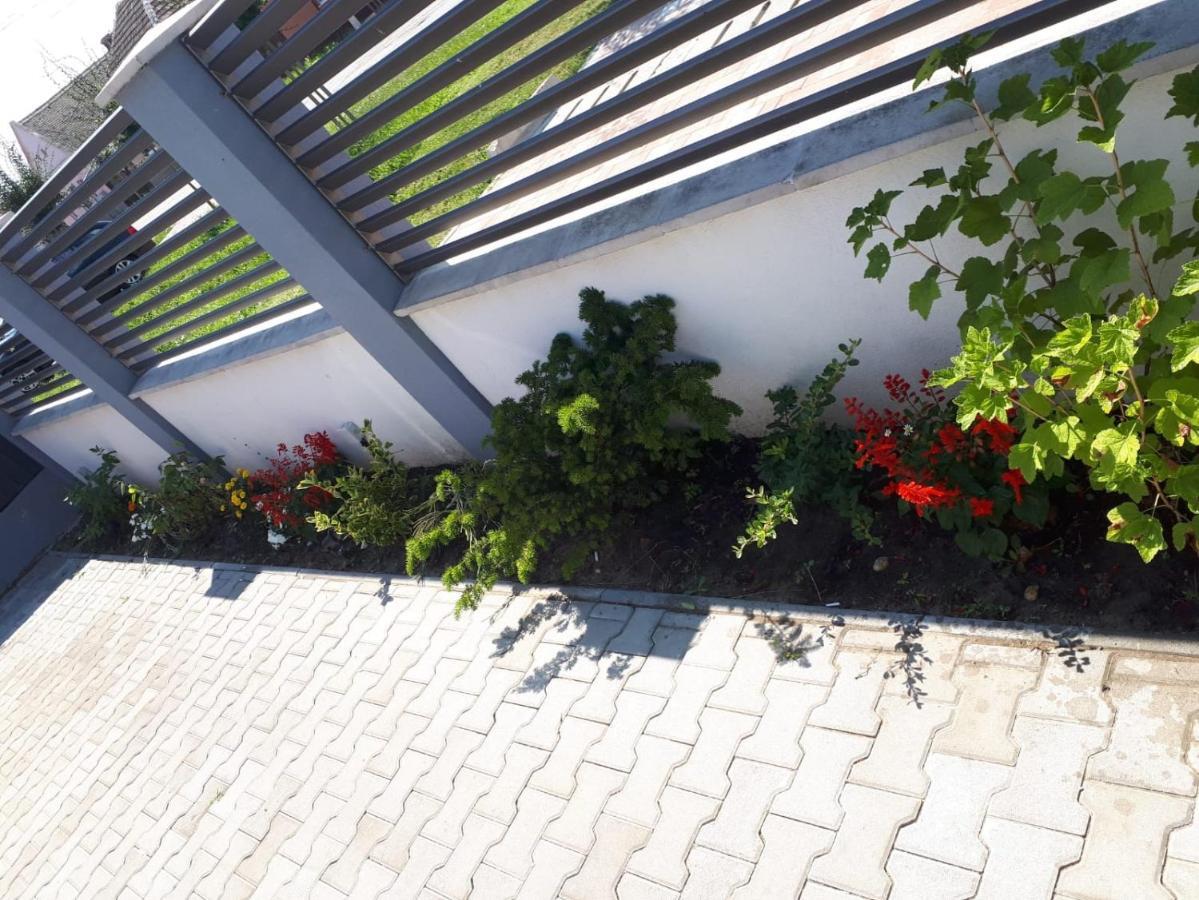 Apartament Saguna Sînnicolau Mare Exteriör bild